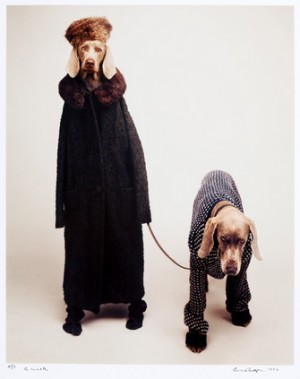A Walk by William WEGMAN