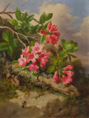 Alpine Rose by Josef LAUER