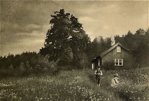 Barn På Sommaräng by Albert Wilhelm RAHMN - auction artwork with signature