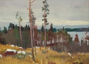 Forest Clearing by Mark KREMER