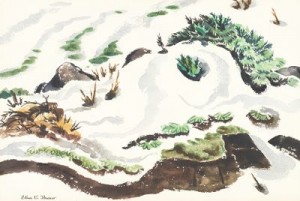Beach Grass by Elsa Vick SHAW - auction artwork with signature