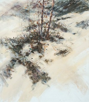 Winter Of Birches by Ilkka LAMMI