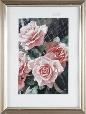 Rosa Rosor by Stephen CLARK