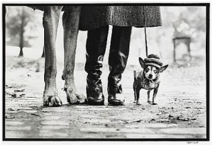 New York City by Elliott ERWITT