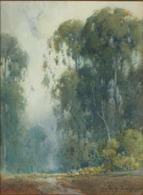 Eucalyptus Trees by Percy (Henry Percy) GRAY