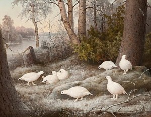A Bevy Of Ptarmigans By The River by Ferdinand Von WRIGHT