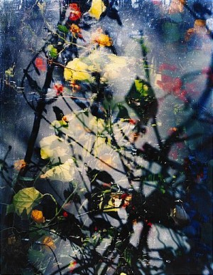 Sixteen Steps To Paradise 2 by Jorma PURANEN - auction artwork with signature
