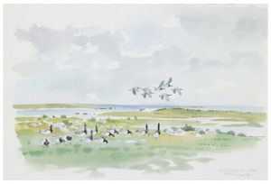 Sträckande Fåglar by Gunnar BRUSEWITZ