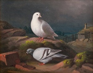 Doves On A Cliff by Ferdinand Von WRIGHT