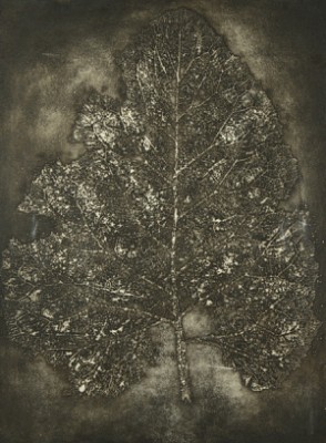 Cosmic Leaf by Dimitri Petrovich PLAVINSKY - auction artwork with signature