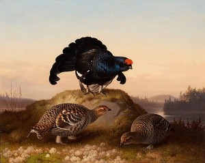 Blackgrouses by Ferdinand Von WRIGHT