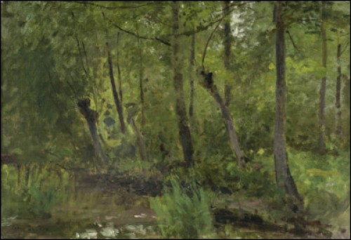 Skogstjärn by Cesar De COCK