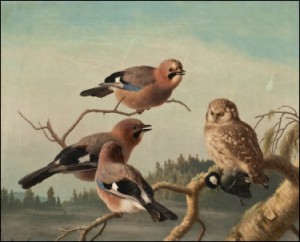 Närhiä Ja Huuhkaja by Ferdinand Von WRIGHT