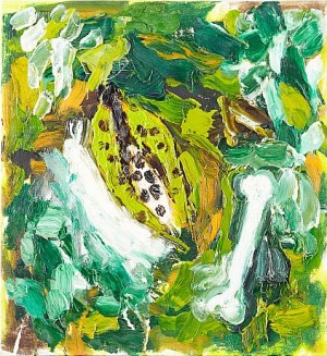 Wild Plants & Bone by John Noel SMITH