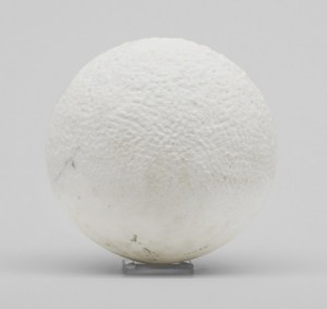 Sfera Centripeta Centrifuga by Gert Olof MARCUS