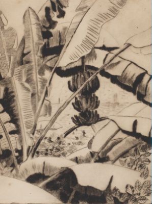 Banana Trees by Stanley WOOD - auction artwork with signature