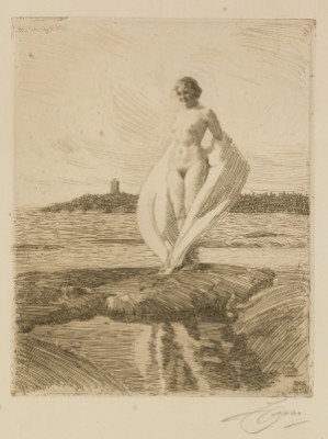 Svanen by Anders ZORN