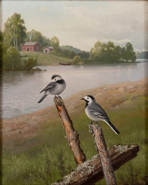 White Wagtails by Ferdinand Von WRIGHT