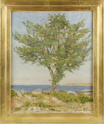 Trädet På Kobben by Einar PALME