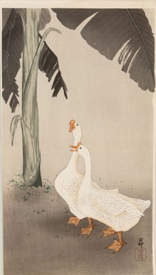 Två Ankor by Ohara KOSON