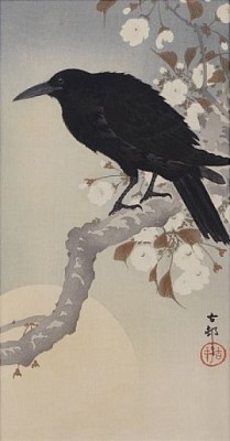 Kråka På Blommande Körsbärsgren by Ohara KOSON
