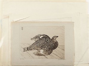 10 St, Djurmotiv by Joseph HECHT