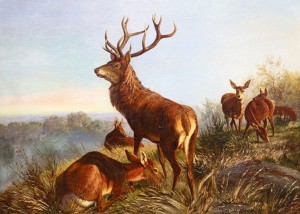 Stag With Does On The Mountain by Arthur Fitzwilliam TAIT