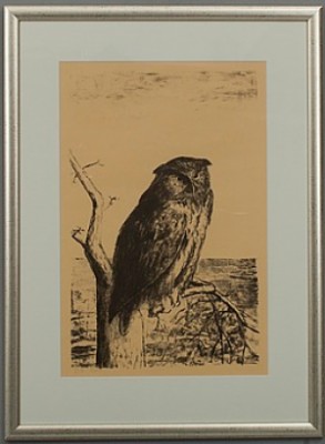 Uggla by Eero Von BOEHM