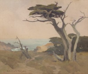 Cypress - On The 17 Mile Drive by Mary Deneale MORGAN
