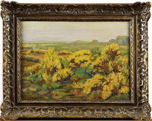 Bloeiende Brem by Johan MEIJER