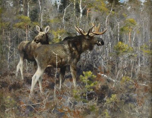 älgar I Höstlandskap by Thure WALLNER