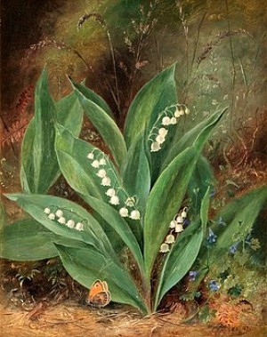 (3) Liljekonvalj, Stensöta, Veronikor Och Smultron by Albert Dürer LUCAS