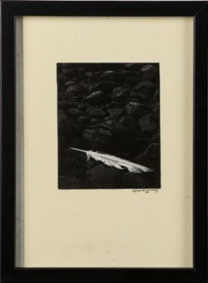 Fjäder by Rolf WINQUIST