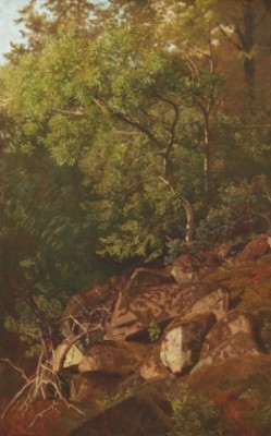 Skogsparti Med Stenar by Julius Eduard MARAK