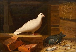 Paloma Blanca by Ferdinand Von WRIGHT