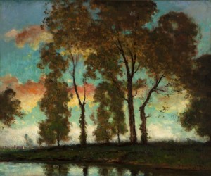 Sunset Through The Trees by Dedrick Brandes STUBER