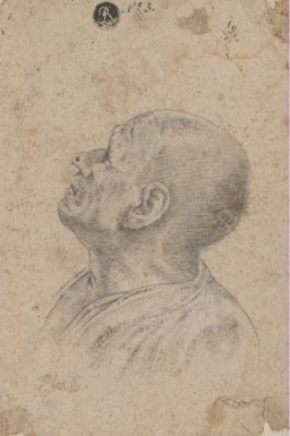Study Of The Head Of A Man Looking Up by John PLOTT