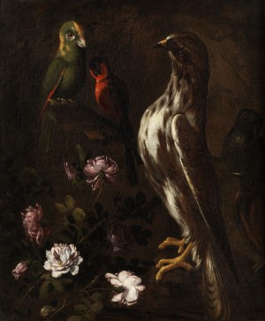 Stilleben Mit Vögeln Und Blumen by Paolo PORPORA - auction artwork with signature