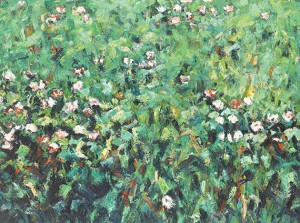 Wiesenstück 27-v by Ralph FLECK