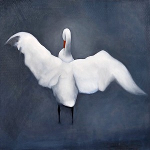 A Swan by Eric HYNYNEN