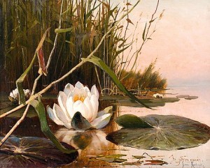 Water Lily by Yuliy Yulyevich KLEVER