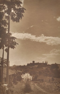 Untitled Mexican Landscape by Hugo BREHME - auction artwork with signature