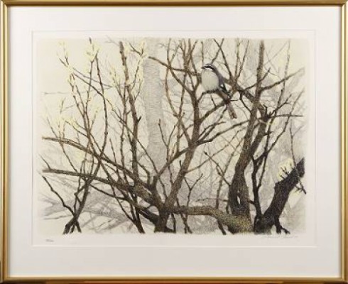 Stjärtmes I Grenverk by Lennart SAND
