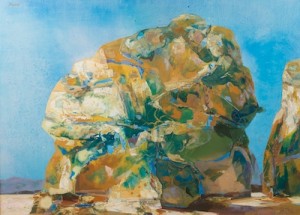 North Carolina Bald by John TEYRAL