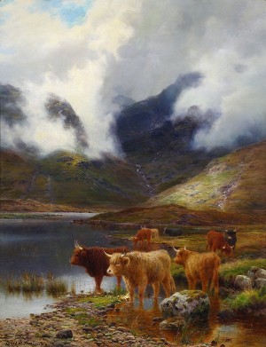 Highland Cattle by Louis Bosworth HURT