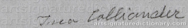 Authentic signature by Ina COLLIANDER on Drawing/Graphic/Print artwork