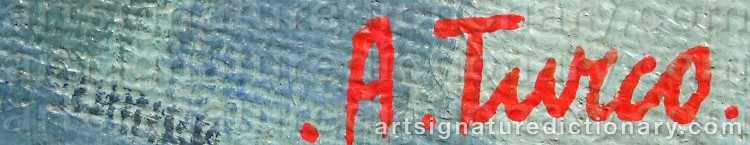 Authentic signature by André TURCO on  artwork