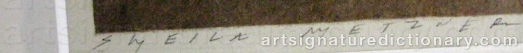 Authentic signature by Sheila METZNER on  artwork