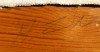 Close-up details showing Hugo ZUHR signature forgery characteristics