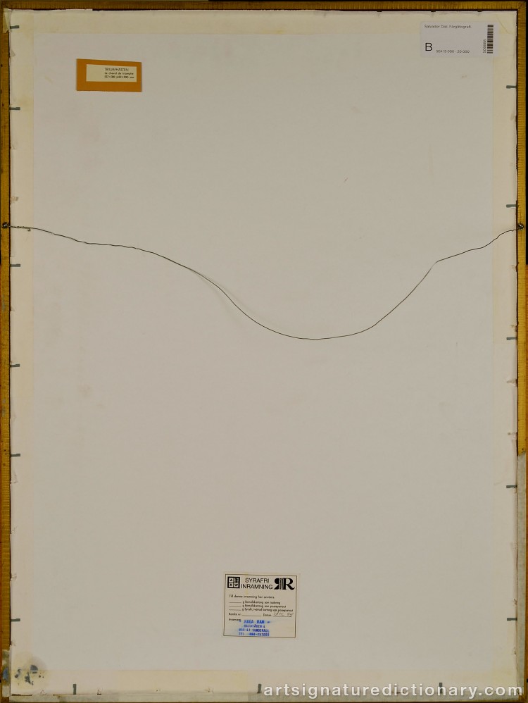 Close-up details showing Salvador DALI signature forgery characteristics